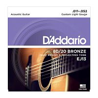 D`ADDARIO EJ13